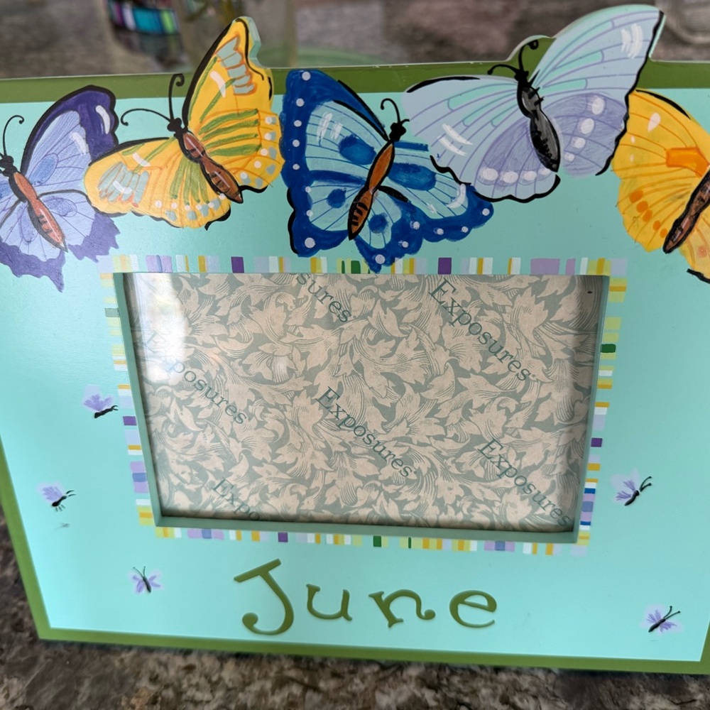 Colorful Butterfly Picture Frame by Unknown Brand
